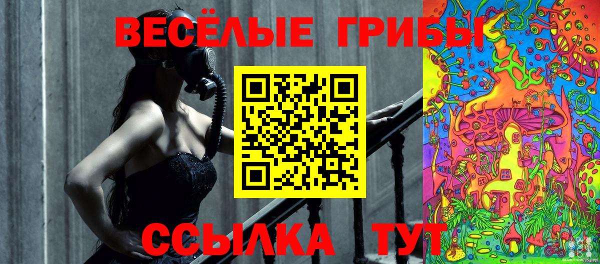 Будённовск  Псилоцибиновые грибы ЛСД  Галлюциногенные грибы Cubensis  Вход с VPN 